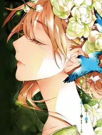 樱花庄的四季